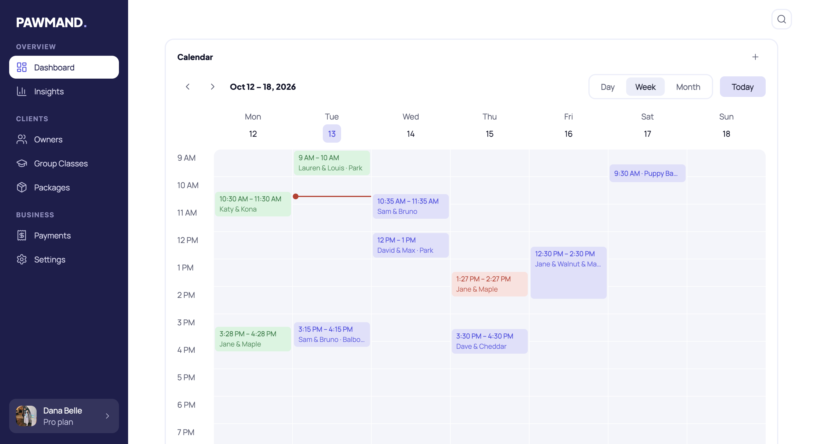 Pawmand dashboard with the week's calendar on desktop